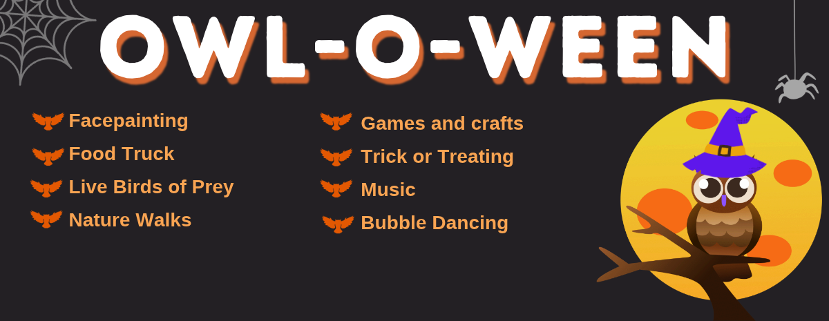 Owl-O-Ween